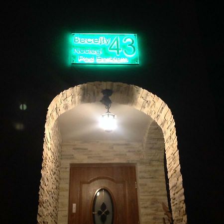 Noclegi Pod Borkiem Szypliszki Dış mekan fotoğraf
