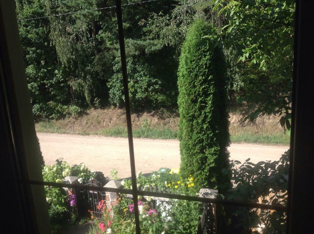 Noclegi Pod Borkiem Szypliszki Dış mekan fotoğraf